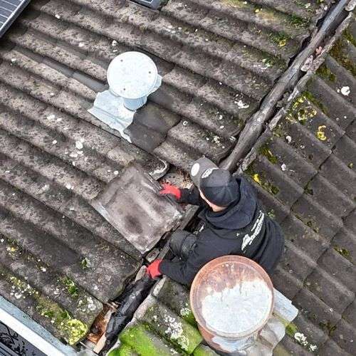 Het opnieuw vastleggen van dakpannen in Montfoort